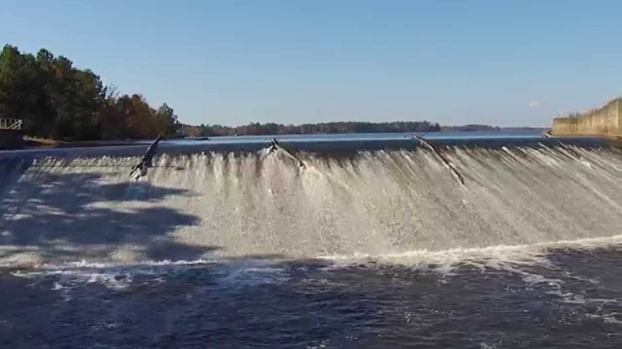 Bundicks Nov2014 YouTube