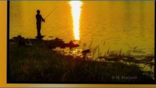 Photolink Library: The Sun Setting on Summer