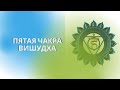 Пятая чакра ВИШУДХА