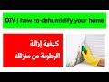 How to dehumidify your home