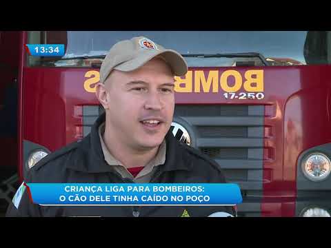 Vídeo: Policial salva cão de afogamento