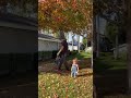 Experiencing the Fall’22 | Swishing and rustling | At Odi’s place, Loma Linda, CA