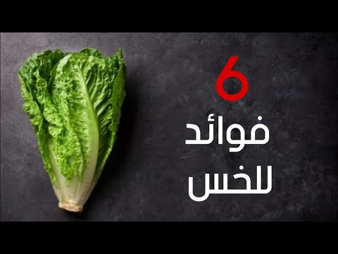 فيديو: الخس: له خصائص مفيدة وطبية