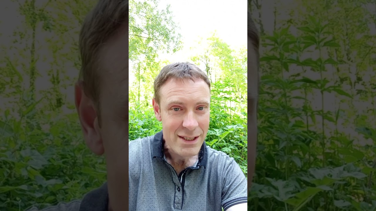 Thés Dansants à Canaples (80) tous les mercredis à partir du 12 juillet !