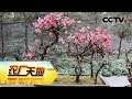 《农广天地》 20180405 春天里的收获 | CCTV农业