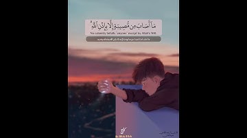 ما أصاب من مصيبة إلا بإذن الله | رعد الكردي - سورة التغابن | حالات واتساب قرآن 💙