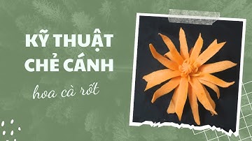 Kỹ thuật chẻ cánh hoa cà rốt cơ bản nhất | Mẹ Bảo Hân