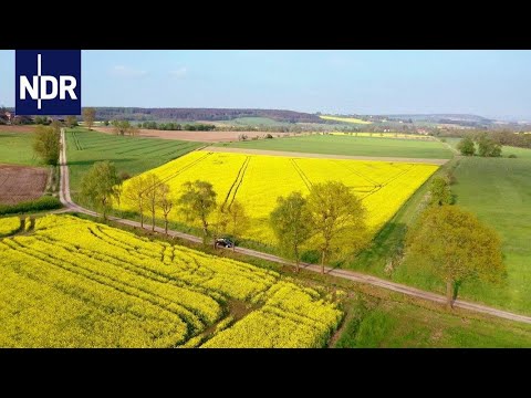 Video: Umfassen Sie Frühling mit einer Blumenakzent-Wand