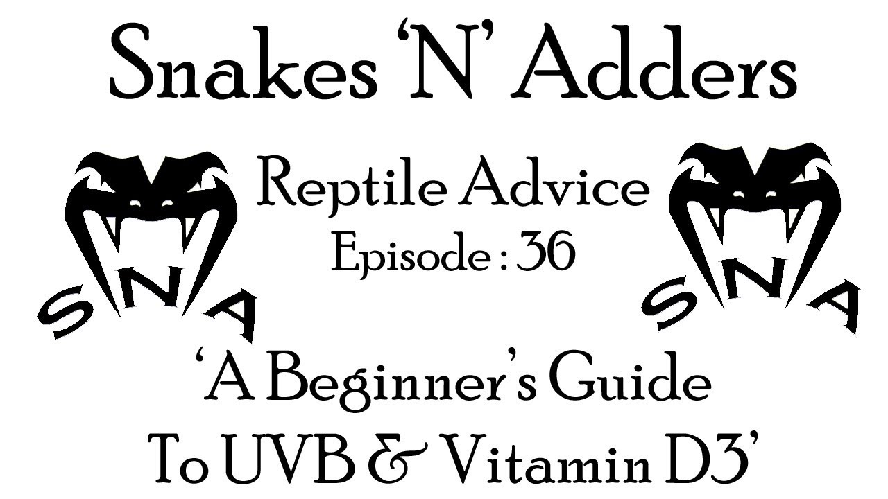 reptile care app Snakes 'N' Adders Reptile Advice : Episode 36 (a beginners no 'B-S' guide to UVB and Vit D3)