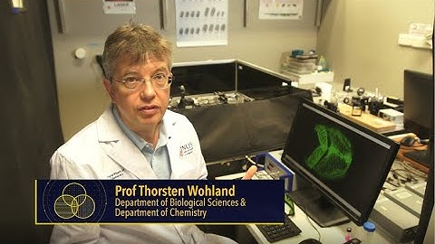 Surprising Science! ~ Frontiers in Bioimaging