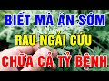 CỨ ĂN RAU NGẢI CỨU Kiểu Này Bổ Hơn Nhân Sâm Tổ Yến, Cứ Ăn Vào Là Bệnh Tật Tiêu Tan Gan Thận Cực Khỏe