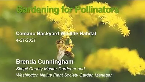 Gardening For Pollinators in the Pacific Northwest...
