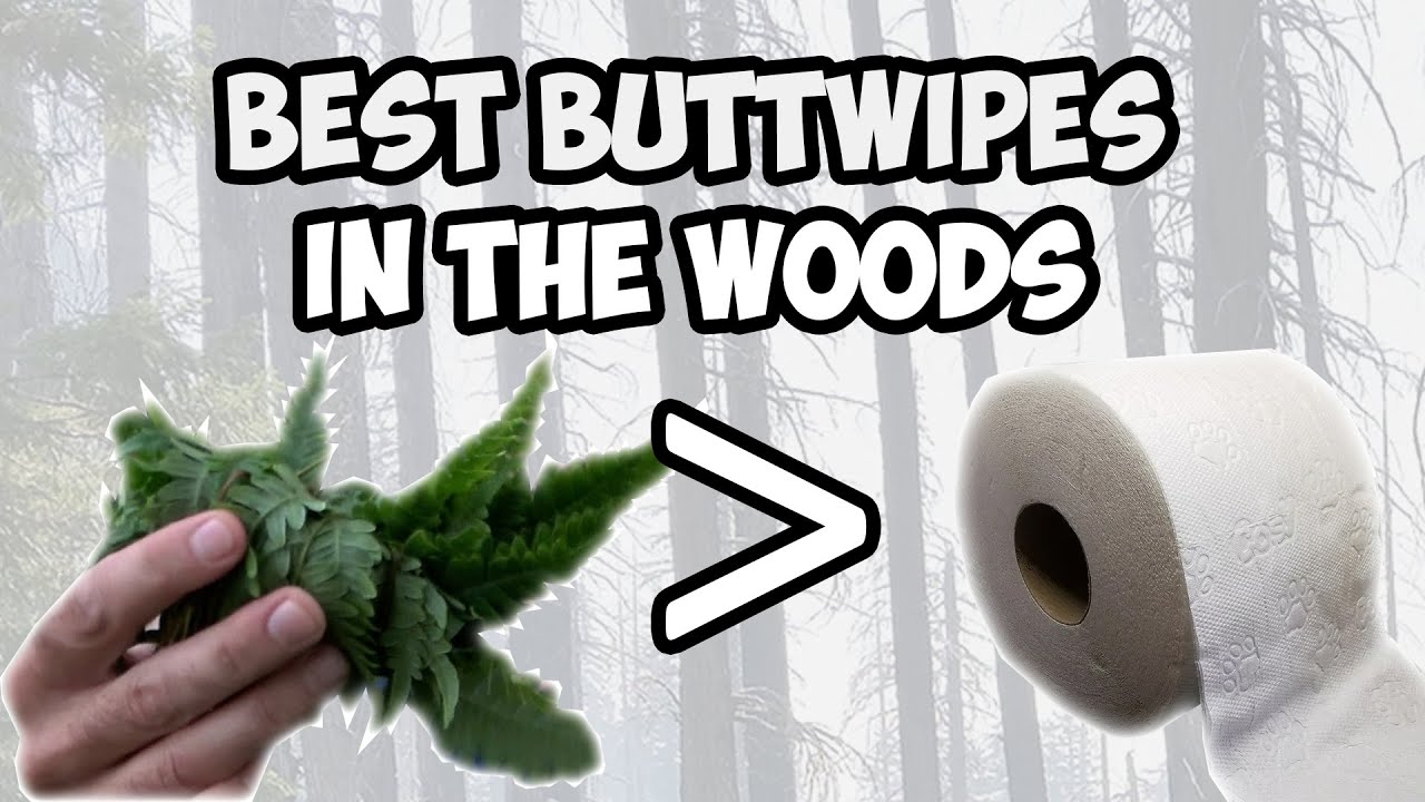 How to Wipe Your Butt in the Woods