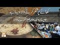 Watch Khane Par Shukar Karne Wala Kesa Hai - ARY Qtv Online In HD