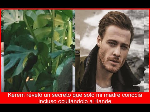 BOMBAZO Kerem impacta