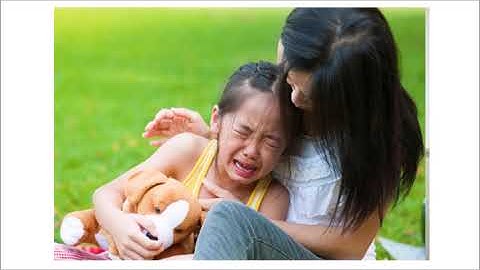 Tự nhiên xã hội lớp 2 (Cánh Diều) - Bài 1: Các thế hệ trong gia đình (tiết 2)