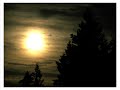 Moonbeam - Cocoon (Sunset Mix)