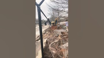 Mini ex 😎😎 #trending #tree #stihl #skidsteer #minievcar