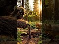 Pinecone Domino Gone Viral — Bigfoot's Tiny Triumph #BigfootVlog #ForestFail #CuteWin