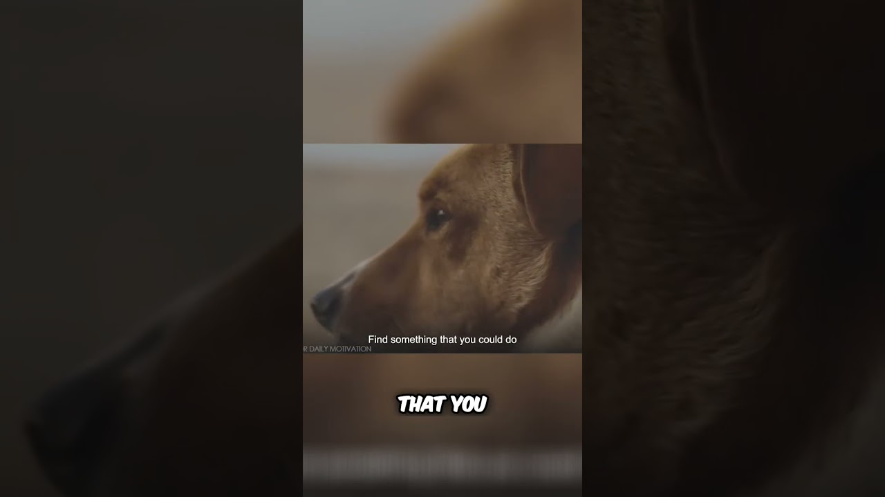 How to Improve Your Life: Finding Direction and Building Humility