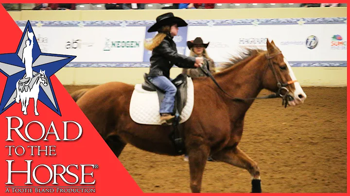 Road to the Horse 2017 - Extra Footage - Barbara C...