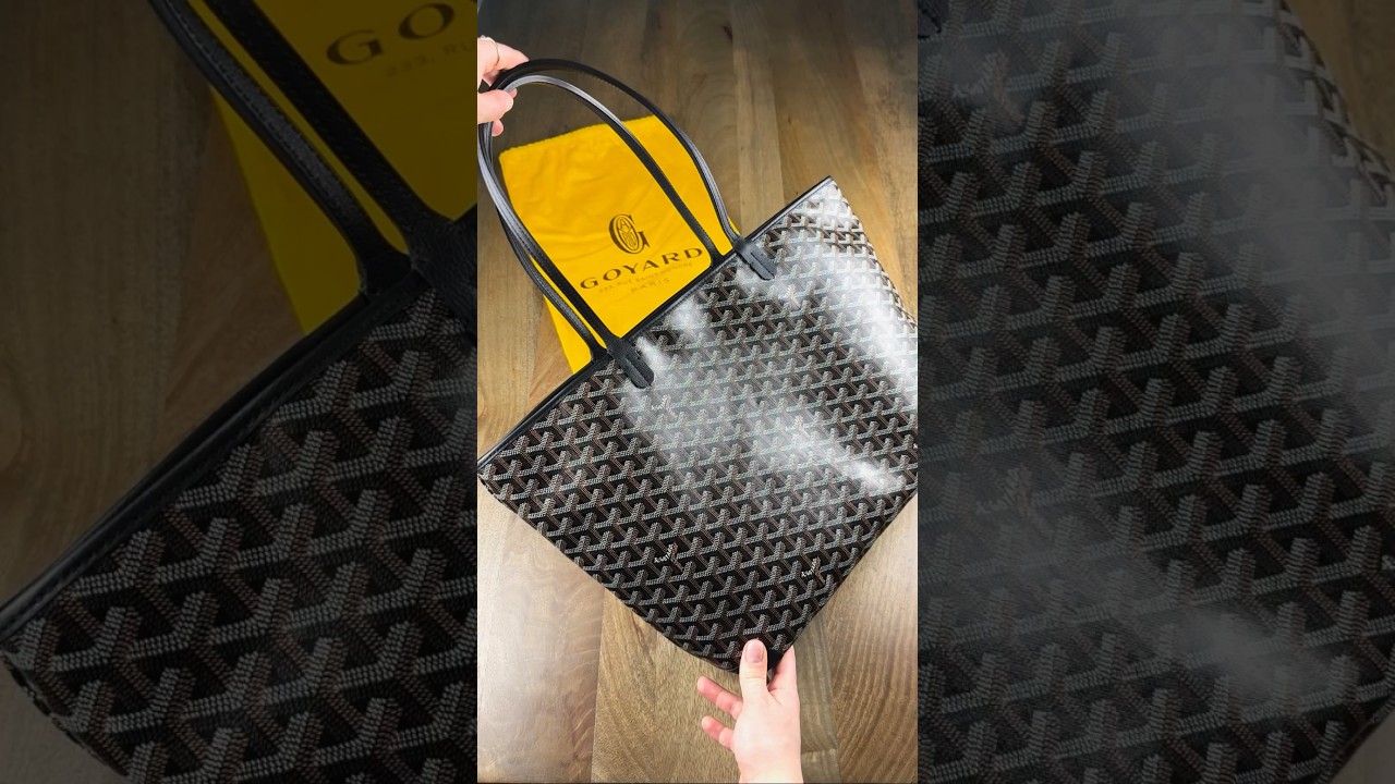 GOYARD SAINT LOUIS PM BAG REVIEW: Under $2K Designer Bag (Saint Louis GM,  Artois PM)