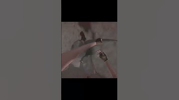 Pov: Your teammate kills you