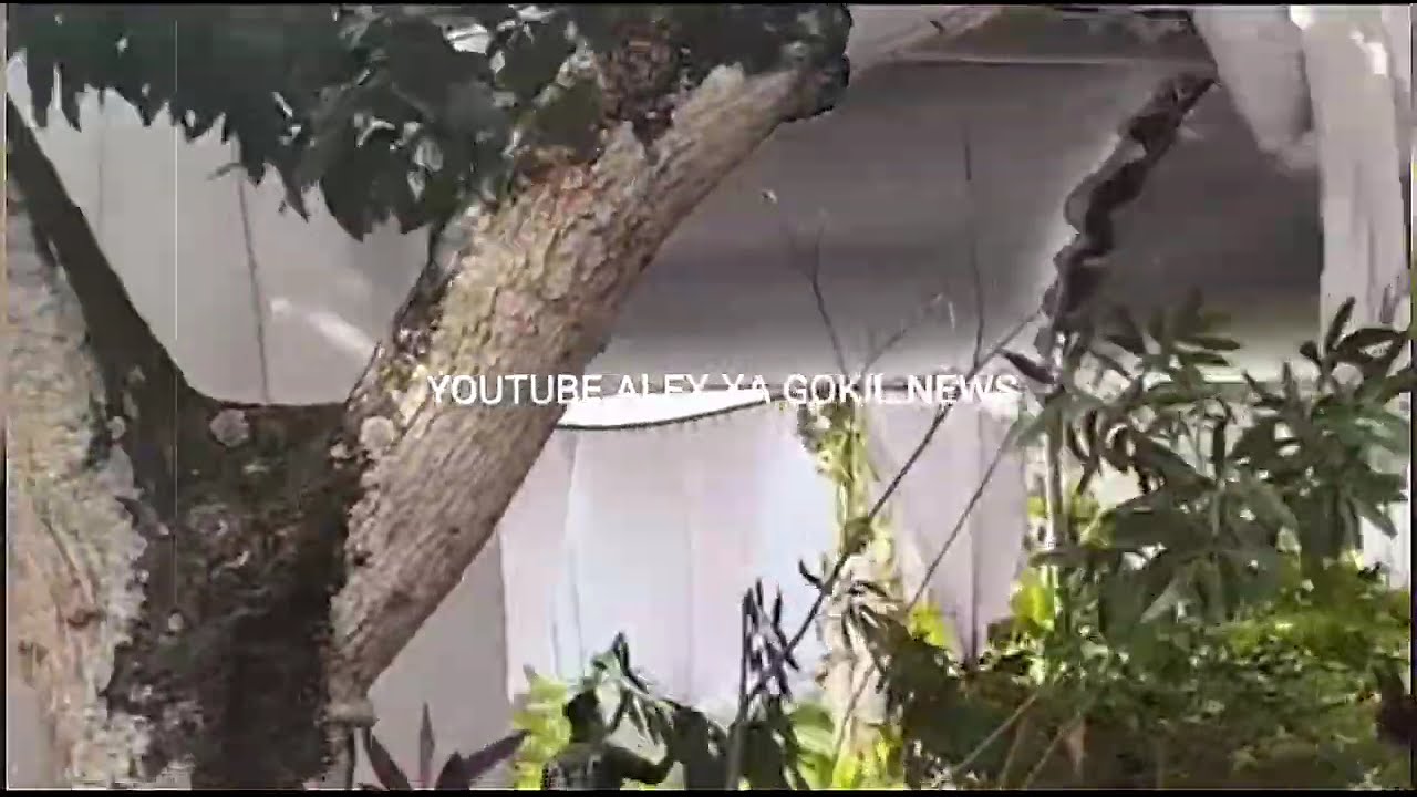 JATENG GEMPAR 3-10-2025! DETIK-DETIK BAK TORNADO SAPU KOTA SUKOHARJO-SOLO  ,RUMAH & MASJID HANCUR