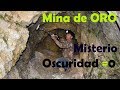 Mina de oro y  Betas de oro  fiebre del oro gold buscar oro ,como trucos