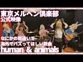 【公式映像】「human &amp; animals」- 東京メルヘン倶楽部