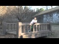 昼どら.mov