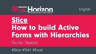 Slice, How to build Active Forms with Hierarchies for IBM Planning Analytics