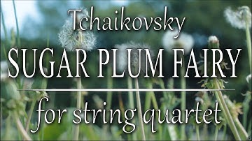 Tchaikovsky - Sugar Plum Fairy (arranged for string quartet)