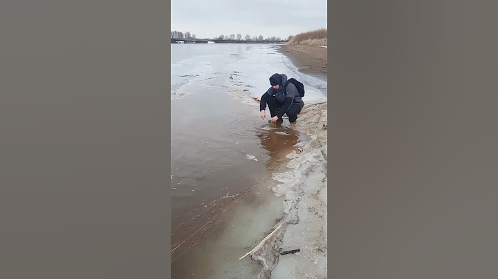 Рыбаки сняли сеть, отпустили рыбу😯#рыбалка #fishing #рыба #рыбак #fish #spinning #спиннинг