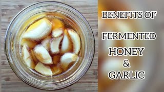 Benefits of Fermented Honey & Garlic?
