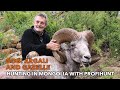 Gobi Argali and gazelle hunting in Mongolia with ProfiHunt