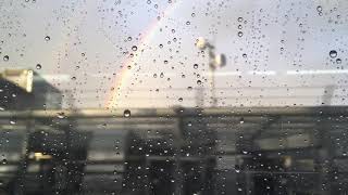 IMG_7759.MOV