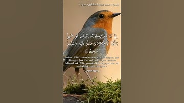اللهم صل و سلم على نبينا محمد #سورة_الأحزاب #سورة_الكهف #شورت #اكسبلور #يوتيوب