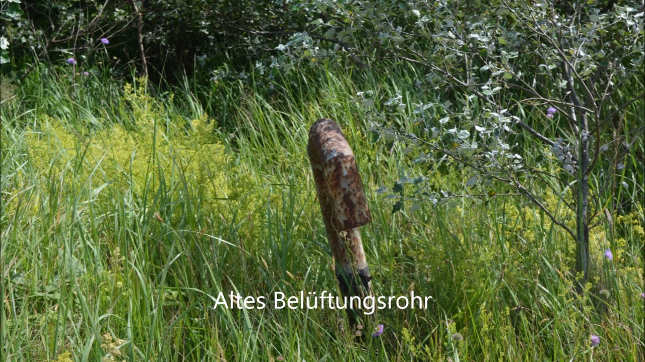 NVA Bunker (ehem. Wehrmacht) bei Wustrow/Ahrenshoop