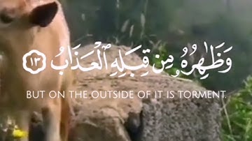 ايات قرأنيه من سورة الحديد:(تأملات قرأنيه:يوم يقول المنافقون والمنافقات)