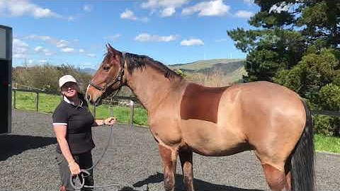 Intro to Fautras Floats