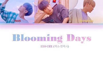 How would Seventeen BooSeokSoon sing Blooming Days by EXO-CBX