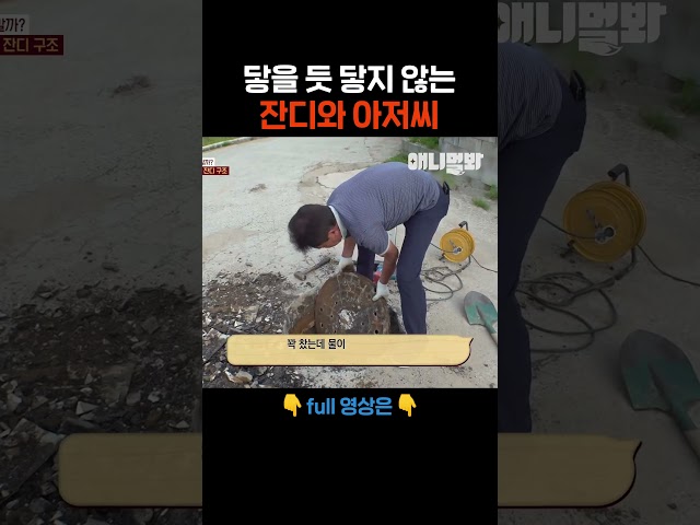 내 손을 잡아 잔디!! #애니멀봐 #shorts