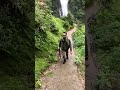 Sog Commando #army #foji #militry #indianarmy #paramilitry #armylover #viralvideo #paracommando