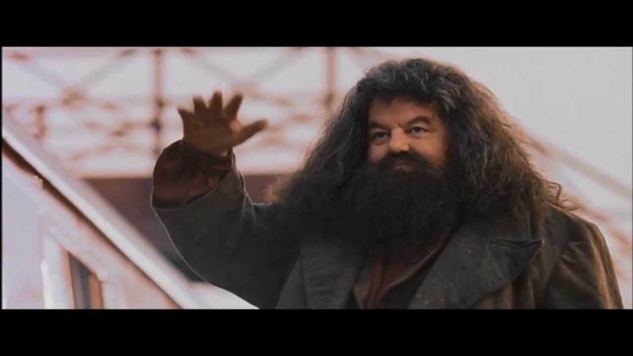 Hagrid waves goodbye to Harry YouTube