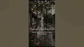 💖 آيات تهدي القلوب وتشرح الصدور بصوت ياسر الدوسري#قرآن #ياسر_الدوسري #راحة_القلب #نور_القرآن #خشوع