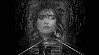 Siouxsie and the Banshees - The Passenger [1987]