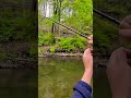 Almost caught a duck wth os my luck🤦🏽♂️🤦🏽♂️#fishing #likeandsubscribe #foryou #610 #trout