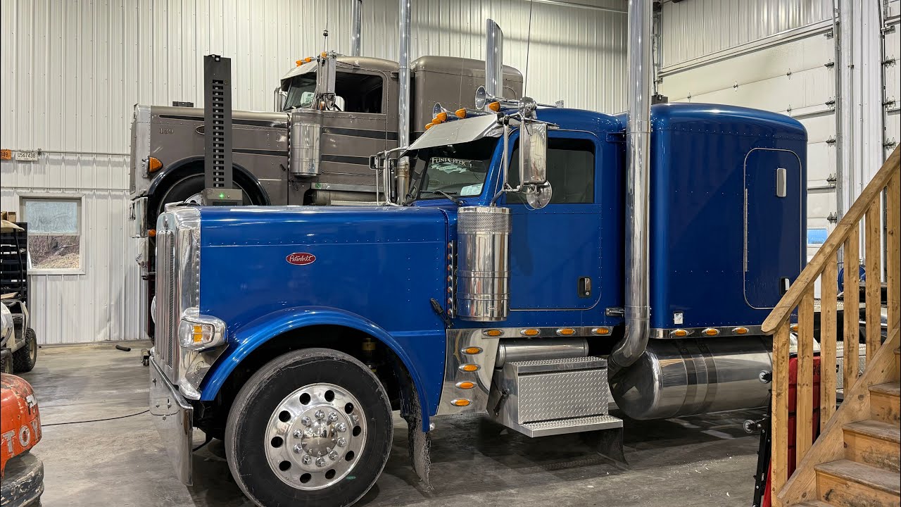 ПОЧТИ БЛИЗНЕЦЫ!!!!