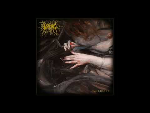 Lascar — Lascar - The Disdain (Wildlife: 2018)